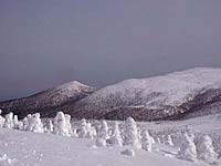 樹氷と後烏帽子岳（左）、屏風岳
